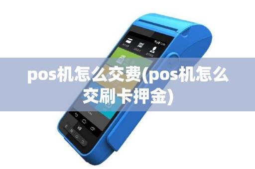pos机怎么交费(pos机怎么交刷卡押金)