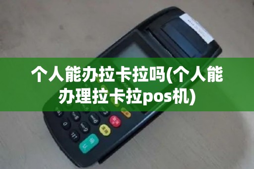 个人能办拉卡拉吗(个人能办理拉卡拉pos机)