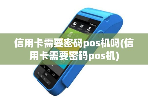 信用卡需要密码pos机吗(信用卡需要密码pos机)