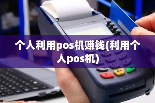 个人利用pos机赚钱(利用个人pos机)