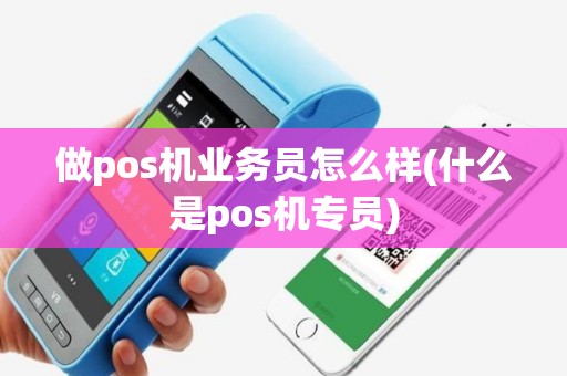 做pos机业务员怎么样(什么是pos机专员)