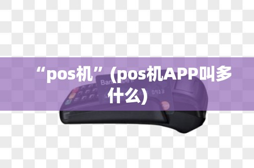 “pos机”(pos机APP叫多什么)