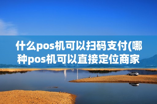 什么pos机可以扫码支付(哪种pos机可以直接定位商家)
