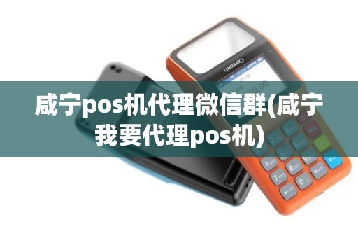 咸宁pos机代理微信群(咸宁我要代理pos机)