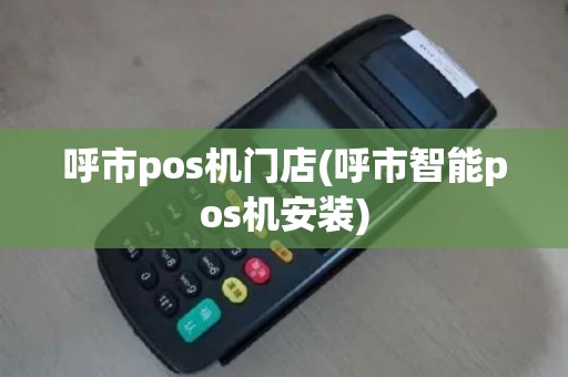 呼市pos机门店(呼市智能pos机安装)