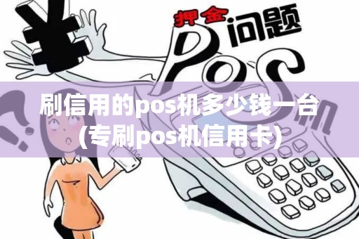 刷信用的pos机多少钱一台(专刷pos机信用卡)