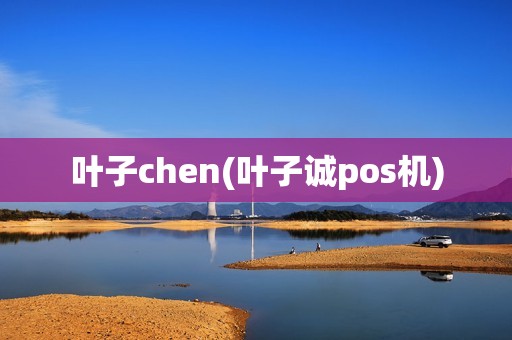 叶子chen(叶子诚pos机)