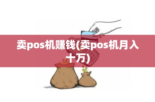 卖pos机赚钱(卖pos机月入十万)
