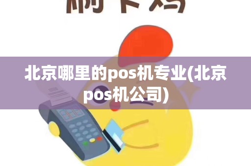 北京哪里的pos机专业(北京pos机公司)