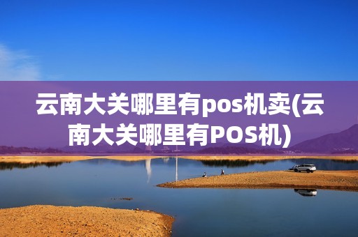 云南大关哪里有pos机卖(云南大关哪里有POS机)