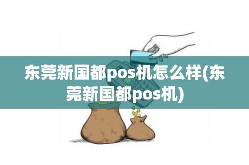 东莞新国都pos机怎么样(东莞新国都pos机)