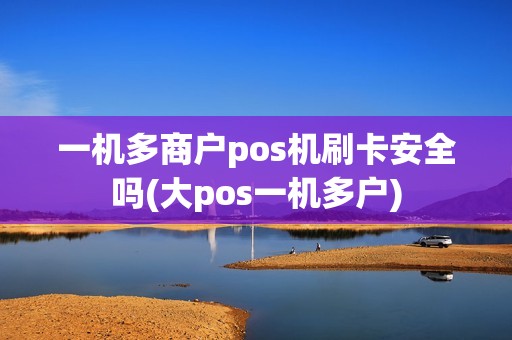 一机多商户pos机刷卡安全吗(大pos一机多户)