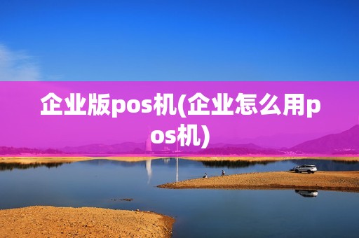 企业版pos机(企业怎么用pos机)
