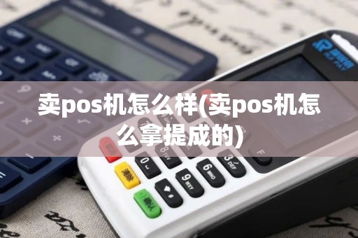 卖pos机怎么样(卖pos机怎么拿提成的)