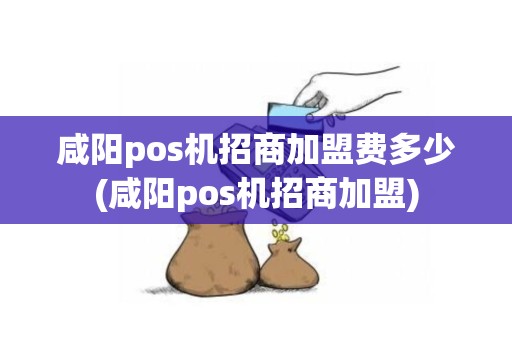 咸阳pos机招商加盟费多少(咸阳pos机招商加盟)