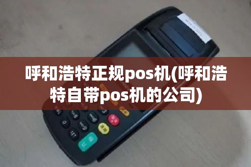 呼和浩特正规pos机(呼和浩特自带pos机的公司)