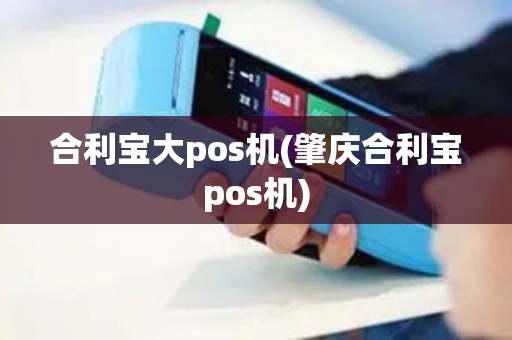 合利宝大pos机(肇庆合利宝pos机)