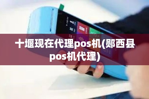 十堰现在代理pos机(郧西县pos机代理)