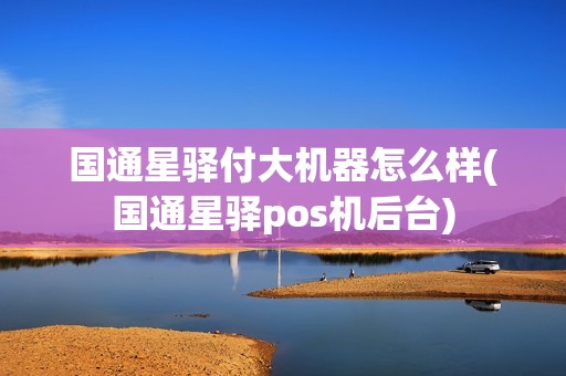 国通星驿付大机器怎么样(国通星驿pos机后台)