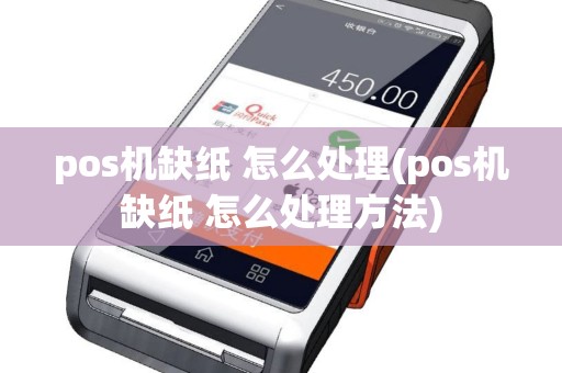 pos机缺纸 怎么处理(pos机缺纸 怎么处理方法)