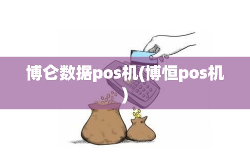 博仑数据pos机(博恒pos机)