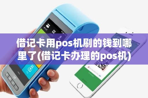 借记卡用pos机刷的钱到哪里了(借记卡办理的pos机)
