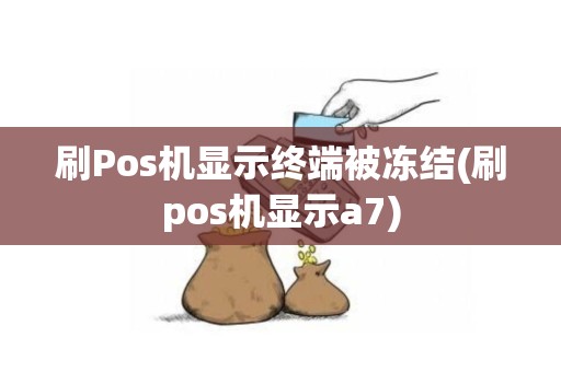 刷Pos机显示终端被冻结(刷pos机显示a7)
