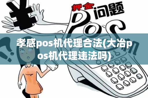 孝感pos机代理合法(大冶pos机代理违法吗)