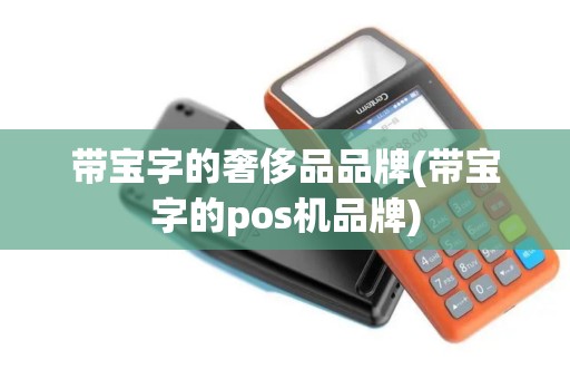 带宝字的奢侈品品牌(带宝字的pos机品牌)