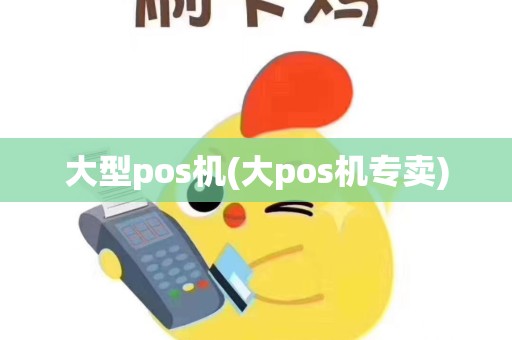 大型pos机(大pos机专卖)