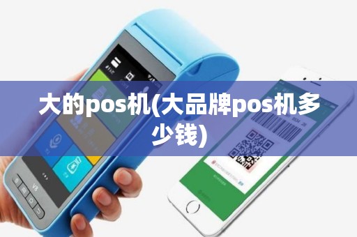 大的pos机(大品牌pos机多少钱)