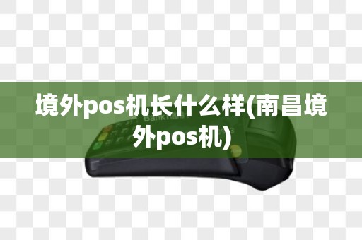 境外pos机长什么样(南昌境外pos机)