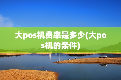 大pos机费率是多少(大pos机的条件)