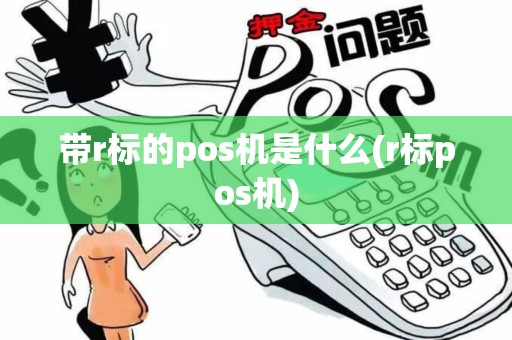 带r标的pos机是什么(r标pos机)