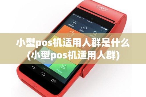 小型pos机适用人群是什么(小型pos机适用人群)