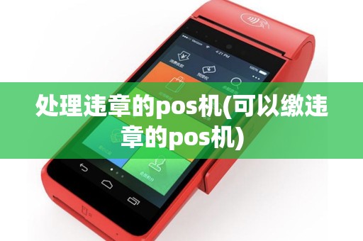 处理违章的pos机(可以缴违章的pos机)