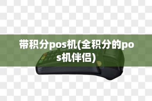 带积分pos机(全积分的pos机伴侣)