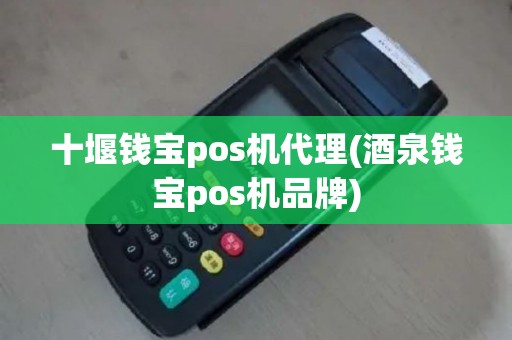 十堰钱宝pos机代理(酒泉钱宝pos机品牌)