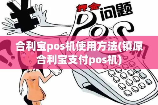 合利宝pos机使用方法(镇原合利宝支付pos机)