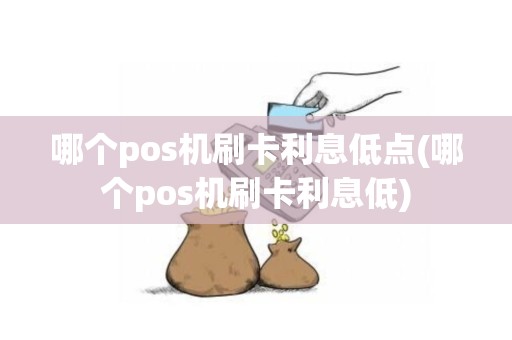 哪个pos机刷卡利息低点(哪个pos机刷卡利息低)