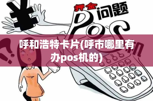呼和浩特卡片(呼市哪里有办pos机的)