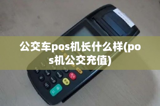 公交车pos机长什么样(pos机公交充值)