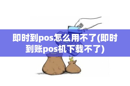 即时到pos怎么用不了(即时到账pos机下载不了)
