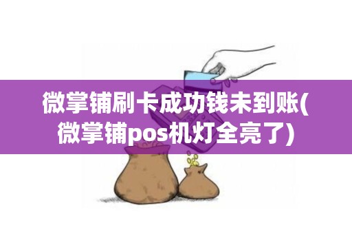 微掌铺刷卡成功钱未到账(微掌铺pos机灯全亮了)