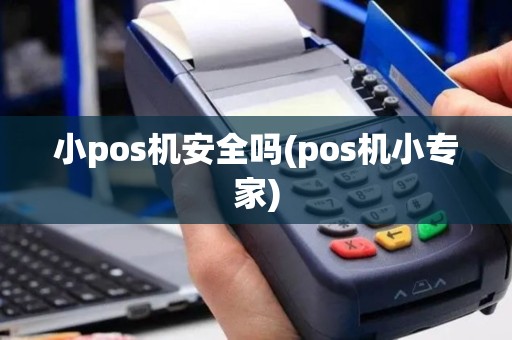 小pos机安全吗(pos机小专家)