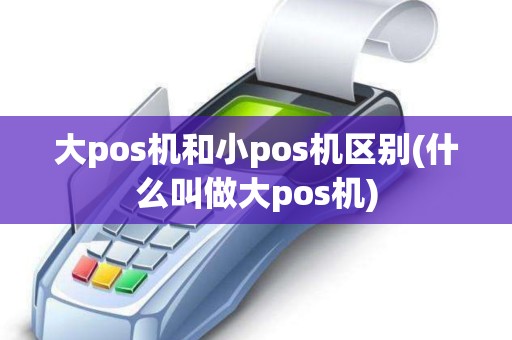 大pos机和小pos机区别(什么叫做大pos机)