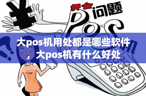 大pos机用处都是哪些软件，大pos机有什么好处