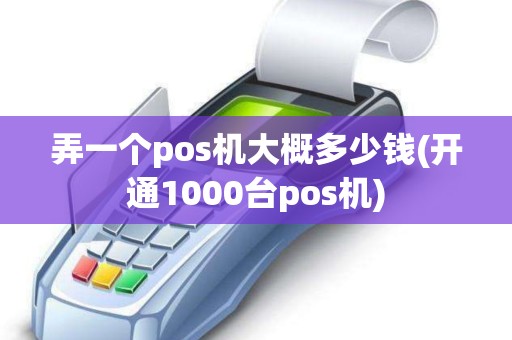 弄一个pos机大概多少钱(开通1000台pos机)