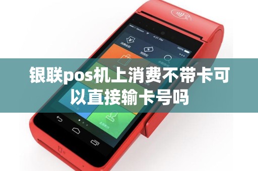 银联pos机上消费不带卡可以直接输卡号吗