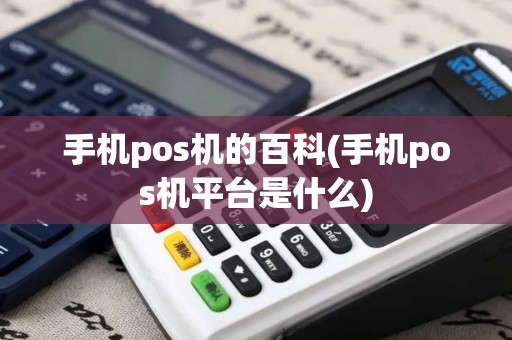 手机pos机的百科(手机pos机平台是什么)